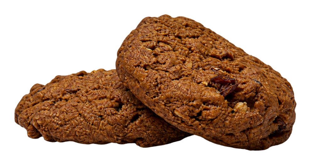 Oatmeal Cranberry Walnut Cookie